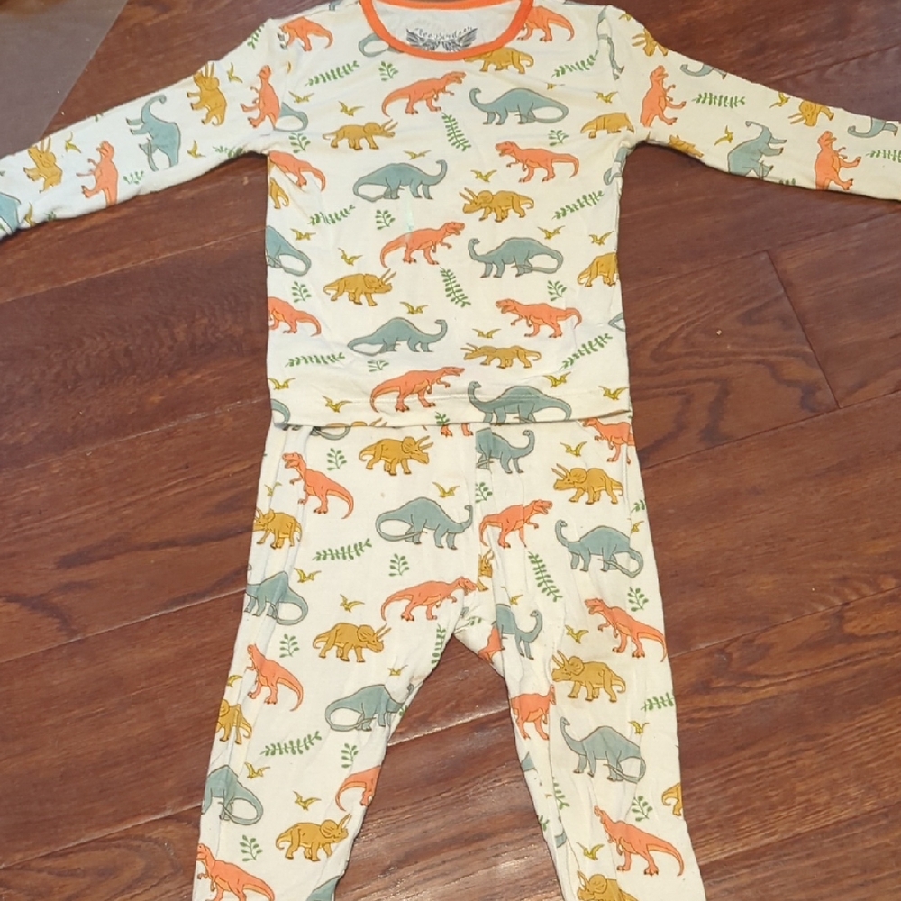Colorful Dinosaur Pajama Set